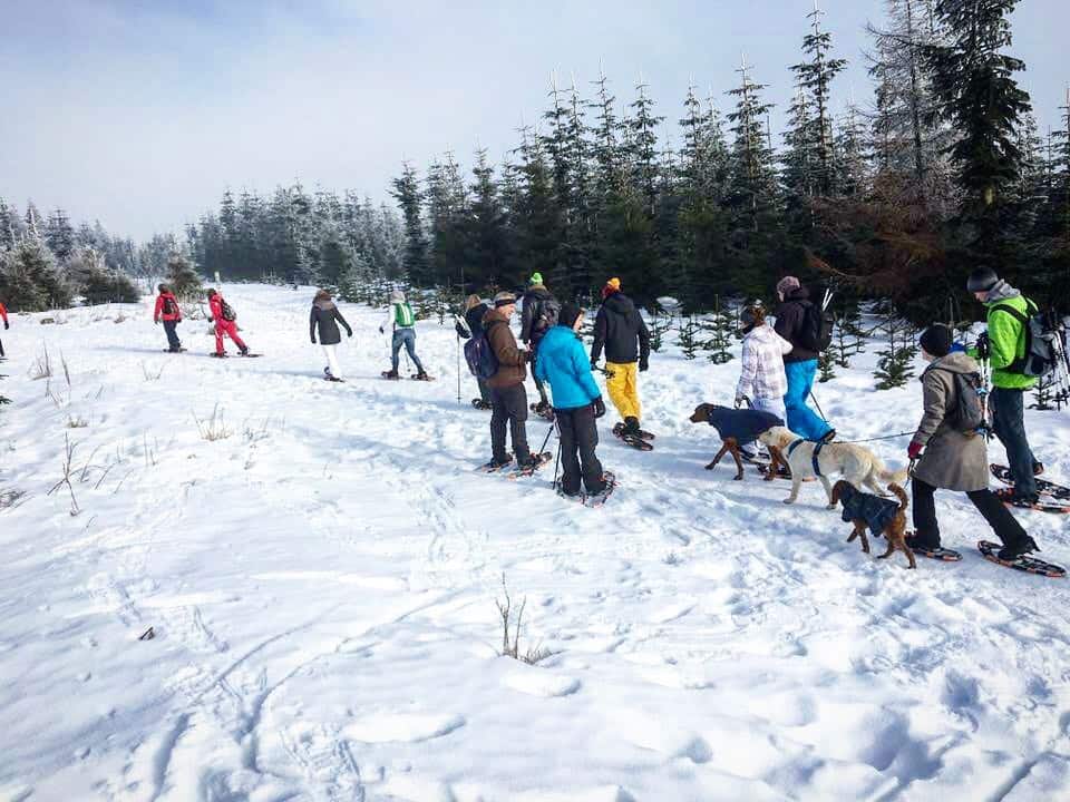 Schneeschuhwandern mit Hunden