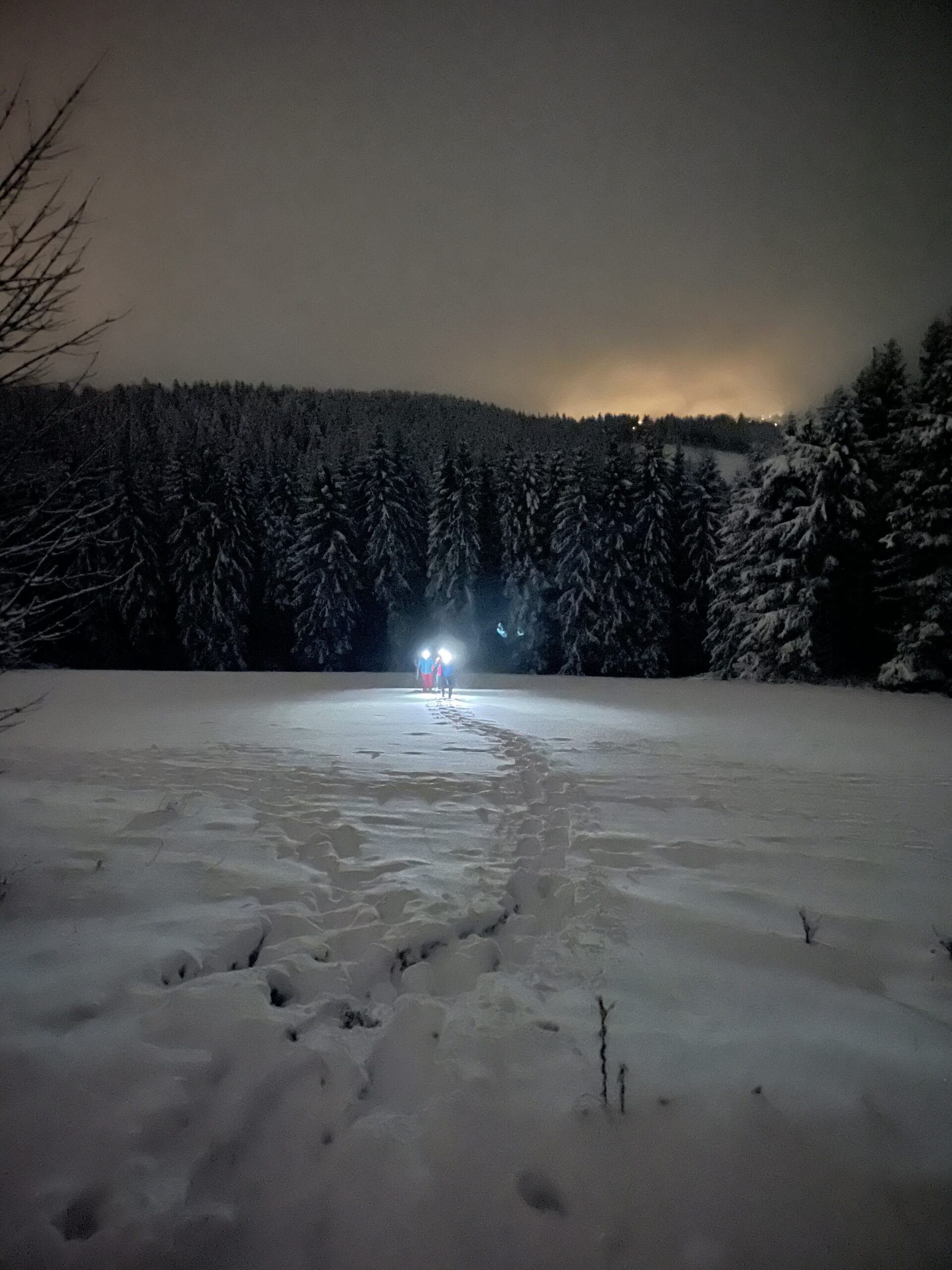 Gruppe-Firmenevent-Schneeschuhwandern