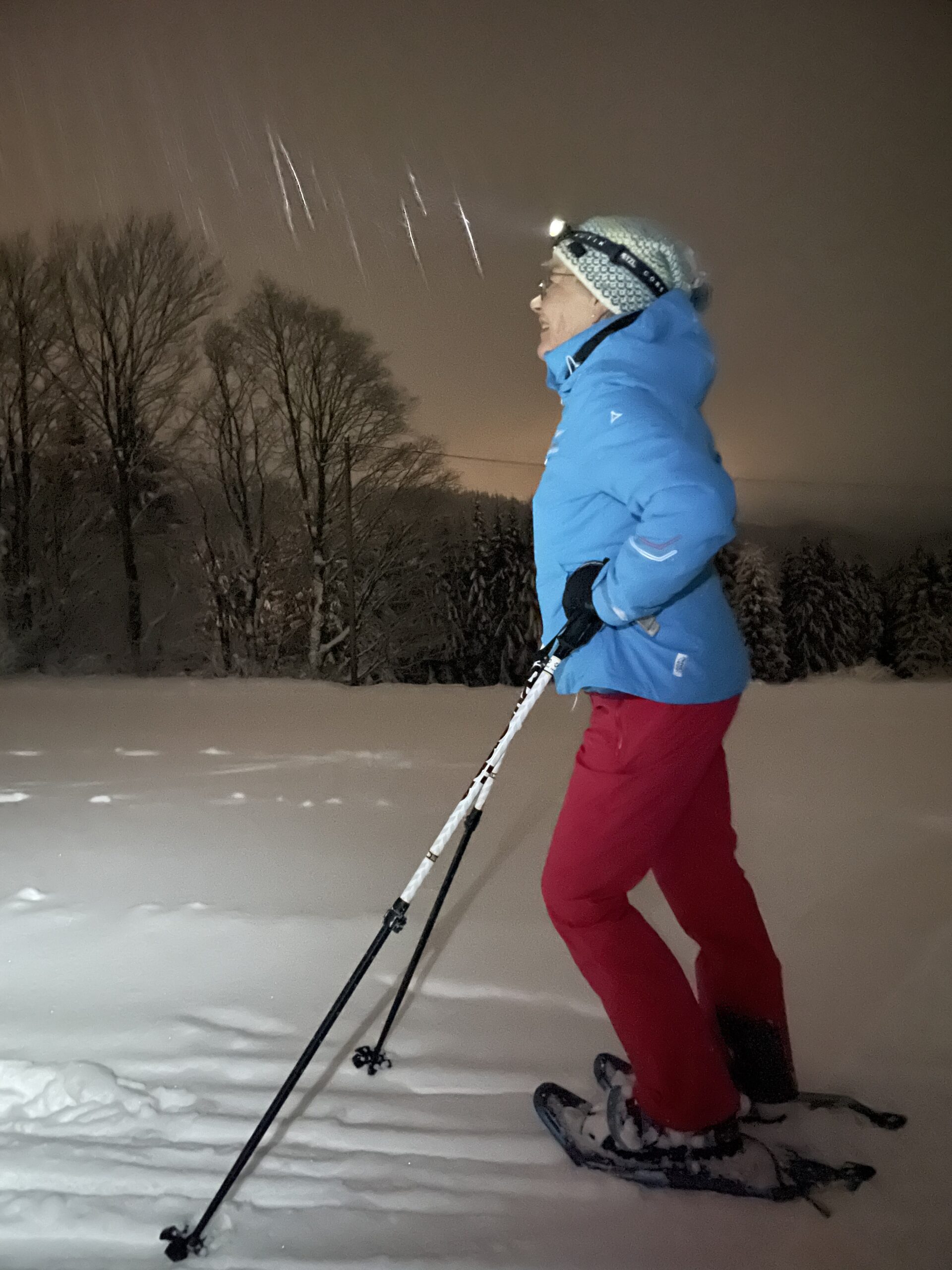 Schneeschuh