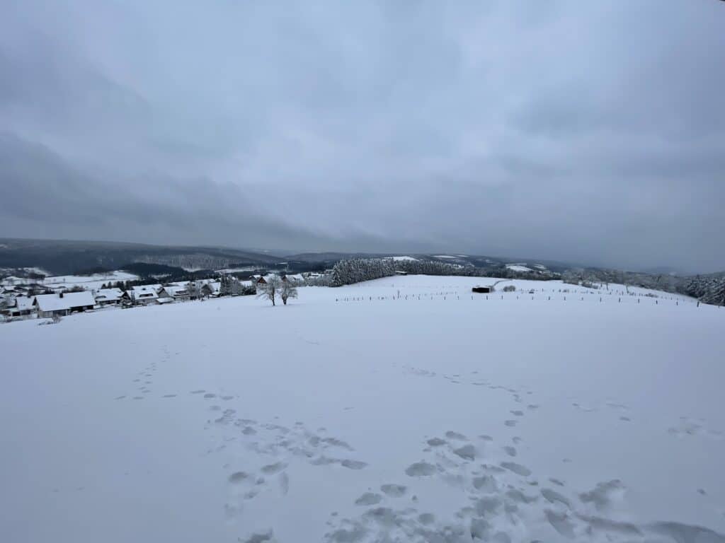 Schnuppertour-auf-Schneeschuhen