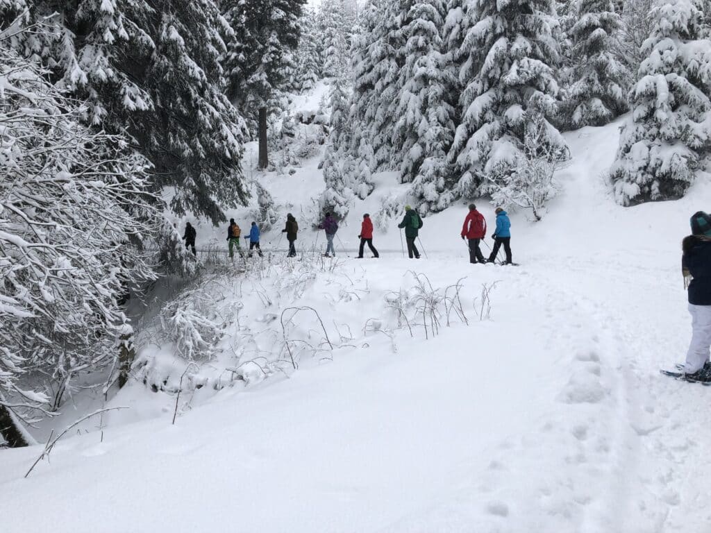 schneeschuhwandern-winterberg-sauerland