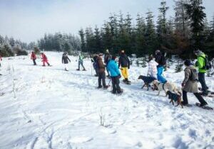 Schneeschuhwandern mit Hunden